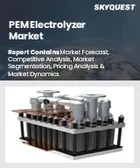 表紙：PEM電解装置市場規模、シェア、成長分析：用途別、容量範囲別、設置形態別、地域別－業界予測2026-2033年