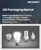 表紙：LEDパッケージング市場規模、シェア、および成長分析：用途別、技術別、最終用途別、地域別－業界予測2026-2033年