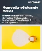 表紙：グルタミン酸ナトリウム市場規模、シェア、成長分析：形態別、用途別、流通経路別、地域別－業界予測2026-2033年