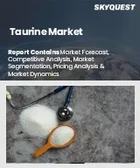 表紙：タウリン市場規模、シェア、成長分析：用途別、原料別、剤形別、地域別－業界予測（2026～2033年）