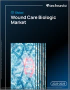 表紙：世界の創傷ケア生物学的製剤市場2025-2029年