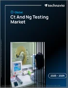 表紙：CT/NG検査の世界市場、2025年～2029年