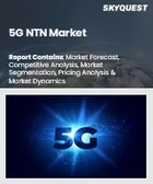 表紙：5G NTN市場規模、シェア、成長分析：コンポーネント別、プラットフォーム別、場所別、用途別、地域別－業界予測（2026～2033年）