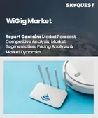 表紙：WiGig市場規模、シェア、および成長分析：製品別、タイプ別、エンドユーザー別、地域別- 業界予測（2026～2033年）