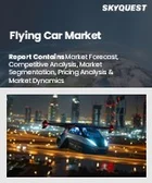表紙：空飛ぶ自動車の市場規模、シェア、および成長分析：製品別、容量別、地域別－2026年から2033年までの業界予測