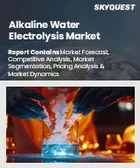 表紙：アルカリ性水電解市場の規模、シェア、成長分析：タイプ別、用途別、地域別－業界予測（2026～2033年）