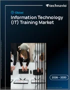 表紙：世界の情報技術（IT）トレーニング市場2026-2030年