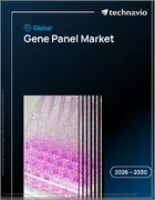 表紙：遺伝子パネルの世界市場 2026年～2030年