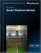 表紙：スマートスタジアムの世界市場 2026年～2030年