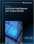 表紙：人工知能（AI）チップの世界市場 2026年～2030年