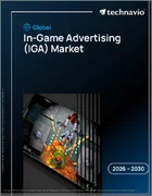 表紙：ゲーム内広告（IGA）の世界市場 2026年～2030年