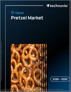 表紙：プレッツェルの世界市場 2026年～2030年