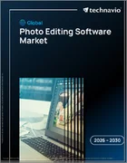 表紙：写真編集ソフトウェアの世界市場 2026年～2030年