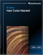 表紙：ヘアカラーの世界市場 2026年～2030年