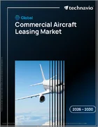 表紙：商用航空機リースの世界市場 2026年～2030年