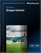 表紙：バイオガスの世界市場 2026年～2030年