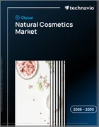 表紙：自然化粧品の世界市場 2026年～2030年