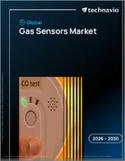 表紙：ガスセンサーの世界市場 2026年～2030年