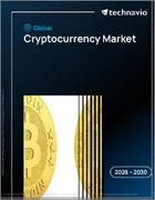 表紙：暗号通貨の世界市場 2026年～2030年