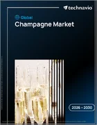 表紙：シャンパンの世界市場 2026年～2030年