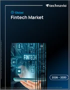 表紙：フィンテックの世界市場 2026年～2030年