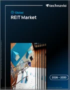 表紙：リートの世界市場 2026年～2030年