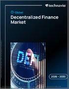 表紙：分散型金融の世界市場 2026年～2030年