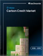表紙：カーボンクレジットの世界市場 2026年～2030年
