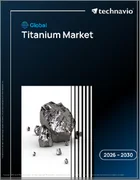 表紙：チタンの世界市場 2026年～2030年