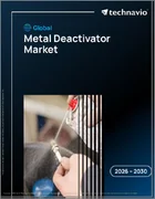 表紙：金属不活性化剤の世界市場 2026年～2030年
