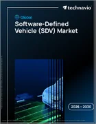 表紙：ソフトウェア定義車両（SDV）の世界市場 2026年～2030年