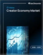 表紙：クリエイターエコノミーの世界市場 2026年～2030年
