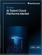 表紙：AI人材クラウドプラットフォームの世界市場 2026年～2030年
