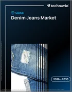 表紙：デニムジーンズの世界市場 2026年～2030年