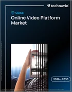 表紙：オンライン動画プラットフォームの世界市場 2026年～2030年
