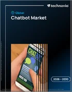 表紙：チャットボットの世界市場 2026年～2030年