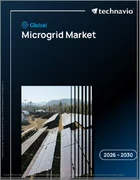 表紙：マイクログリッドの世界市場 2026年～2030年