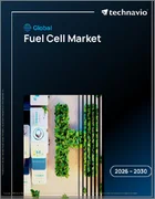 表紙：燃料電池の世界市場 2026年～2030年