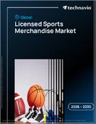 表紙：ライセンスされたスポーツ用品の世界市場 2026年～2030年