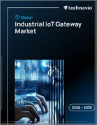 表紙：産業用IoTゲートウェイの世界市場 2026年～2030年