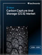 表紙：カーボンキャプチャーと貯留（CCS）の世界市場 2026年～2030年