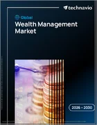 表紙：ウェルスマネジメントの世界市場 2026年～2030年