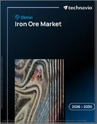 表紙：鉄鉱石の世界市場 2026年～2030年