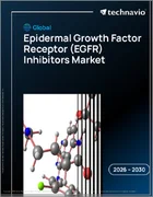 表紙：エピデルマル成長因子受容体（EGFR）阻害剤の世界市場 2026年～2030年