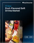 表紙：果汁風味の炭酸飲料の世界市場 2026年～2030年