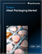 表紙：肉の包装の世界市場 2026年～2030年