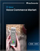 表紙：音声コマースの世界市場 2026年～2030年