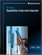 表紙：衛星インターネットの世界市場 2026年～2030年