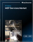 表紙：Mepサービスの世界市場 2026年～2030年