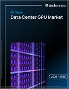 表紙：データセンターGPUの世界市場 2026年～2030年